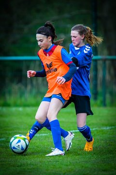 Bild 1183 - wCJ VfL Pinneberg - Alstertal-Langenhorn : Ergebnis: 0:8